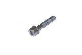 Intake Manifold Bolt (BEW) (BRM)