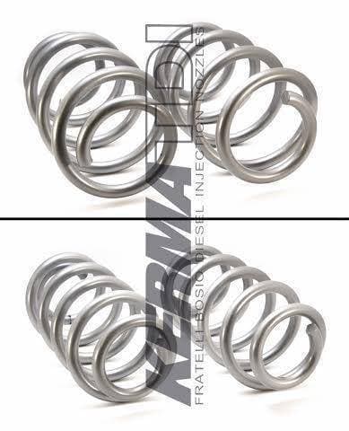 MK5 Shine Racing Real Street Springs