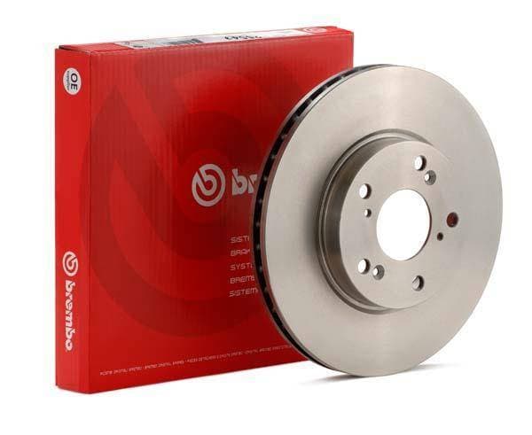 Brembo Rear Rotor (BHW) - Sold Individually