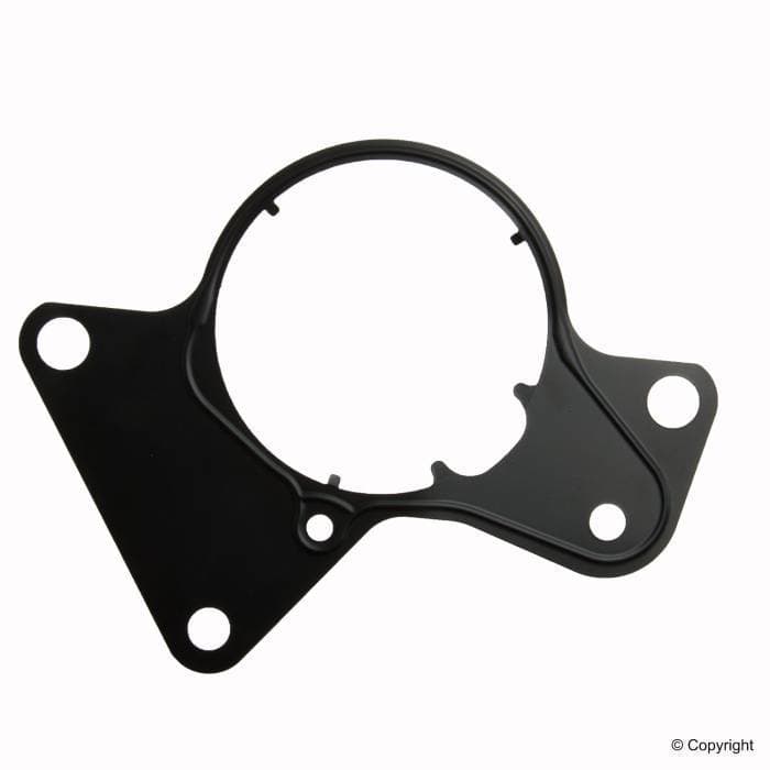 Tandem Pump Gasket (V10)