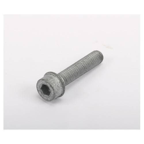 Harmonic Balancer Bolt (Mk4) (Exception on some 2003 Models)